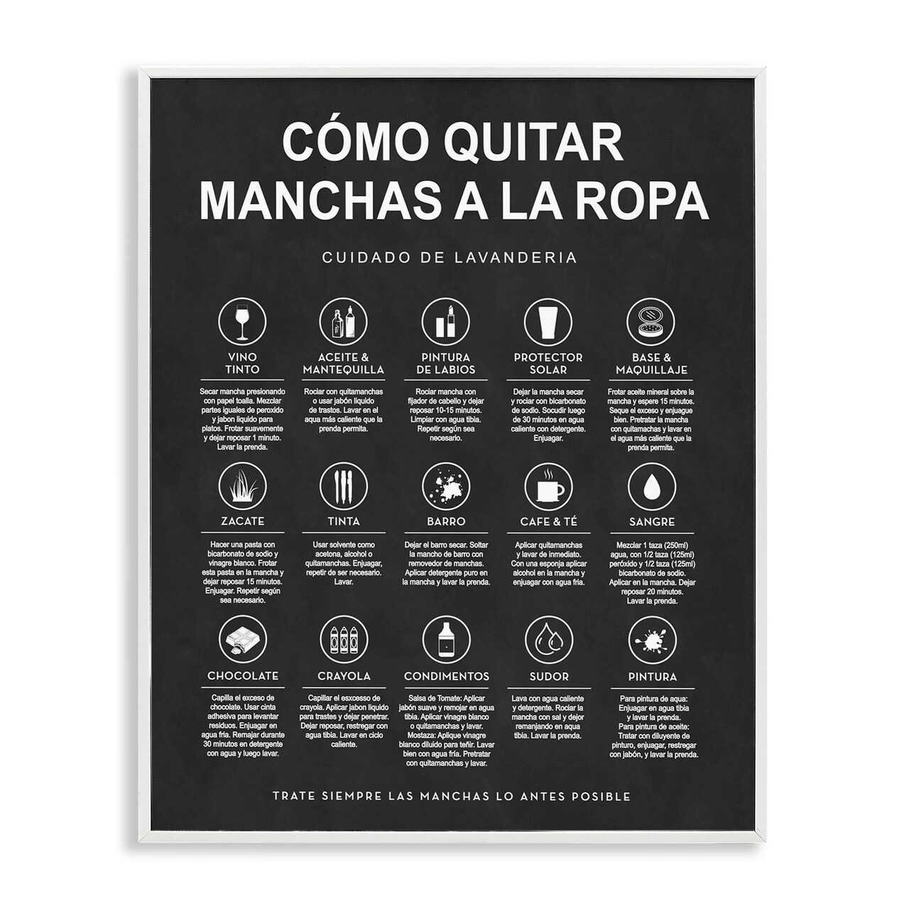 Stupell Industries Guía de Limpieza de Manchas, Negro Framed Giclee Art